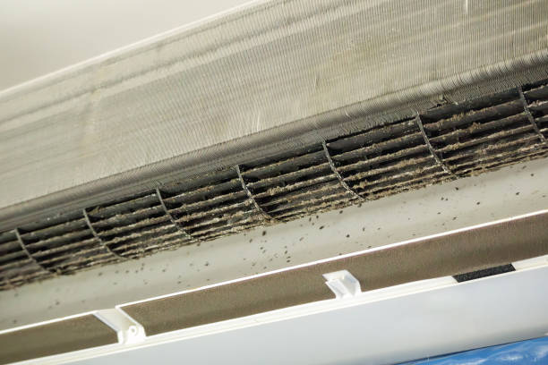 Best Affordable Air Duct Cleaning  in Dayton, NJ